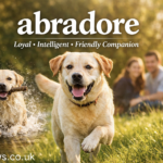 abradore Uncovered: Origins, Traits, Truths & Insights Guide