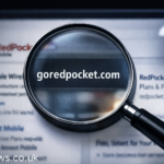 goredpocket.com Reality Check: What It Actually Represents