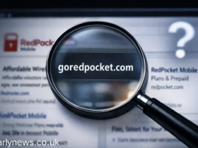goredpocket.com Reality Check: What It Actually Represents