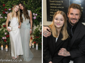 Harper Beckham: A Sweet Surprise That Melted Hearts