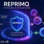 reprimo: The Silent Guardian of Cellular Balance