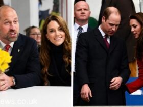 Prince William Wales Rugby Message: A Royal Voice of Support