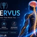 Kinervus Explained: How Brain and Body Stay Connected