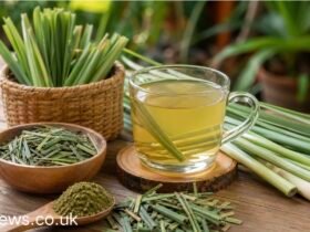 Lyposingrass: What It Really Is, What It Does, and Whether It Is Worth Your Time in 2026