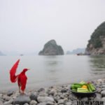 Bảce: The Ultimate 2026 Guide on The Vietnamese Concept