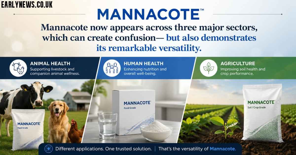 What Is Mannacote? Three Meanings, One Smart Innovation Philosophy
