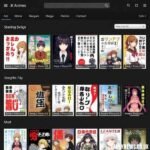 Exhentaime: Anime Platform, Time Management Tool & Cultural