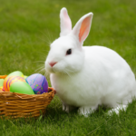 Easter Bunny
