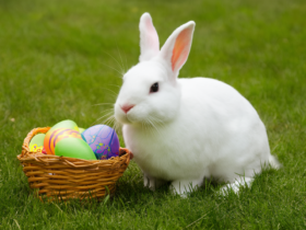 Easter Bunny