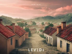 Levidi